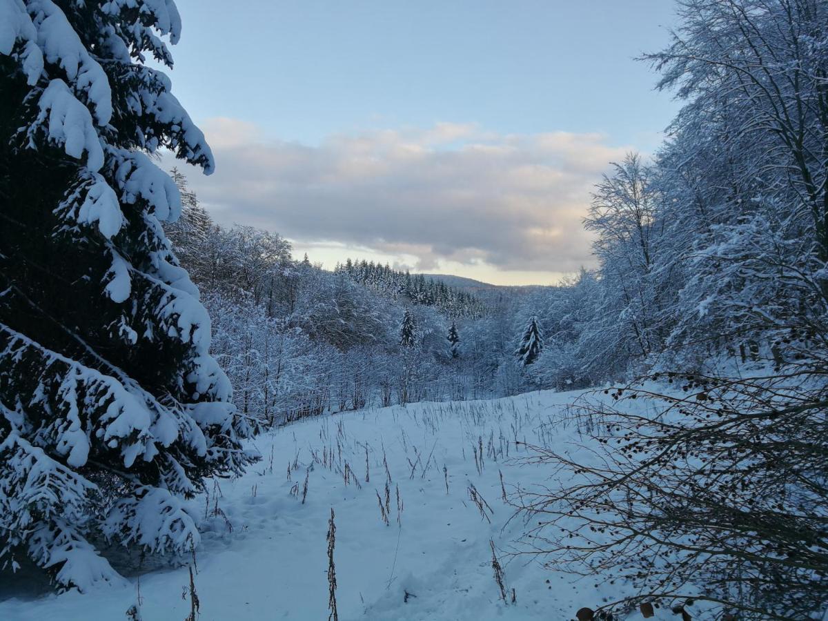 Taunusblick-Meissner Schmitten ภายนอก รูปภาพ